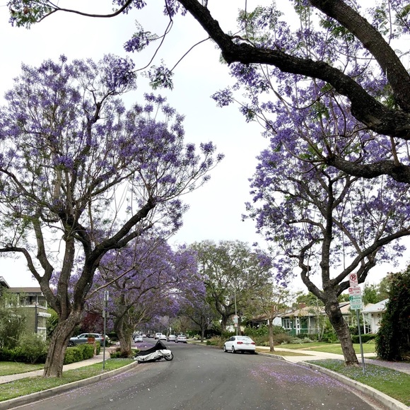 Hi, I’m Harlow ! :) - Picture 2 of 4